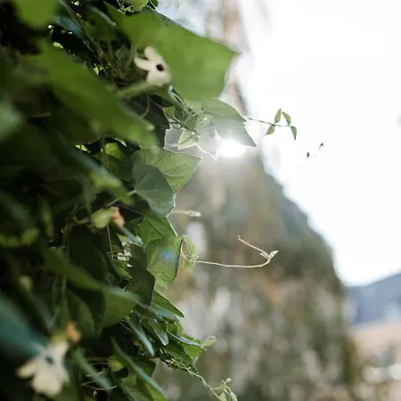 Sommers Altes Posteck